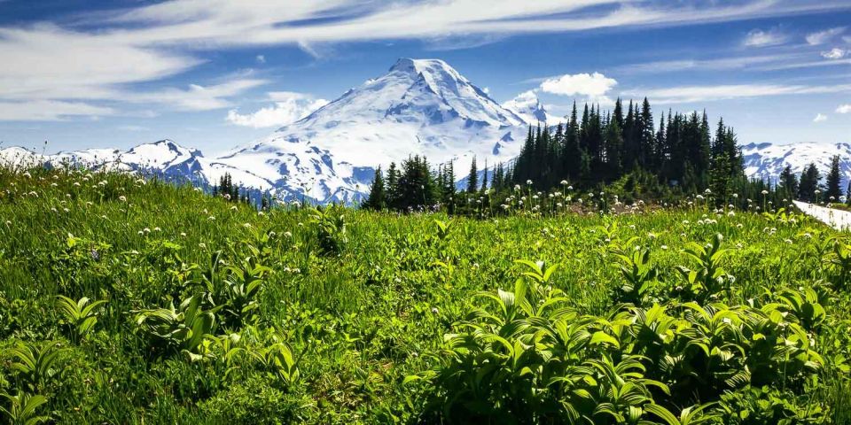 From Seattle – Enchanting Mt Baker & Cascade Mountains Tours