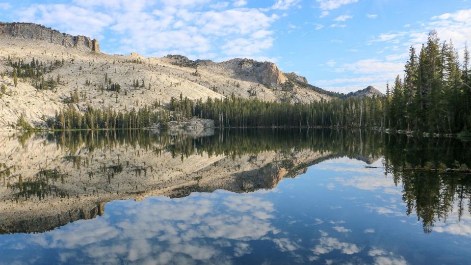 From SFO-Yosemite National Park-Enchanting Full Day Tour