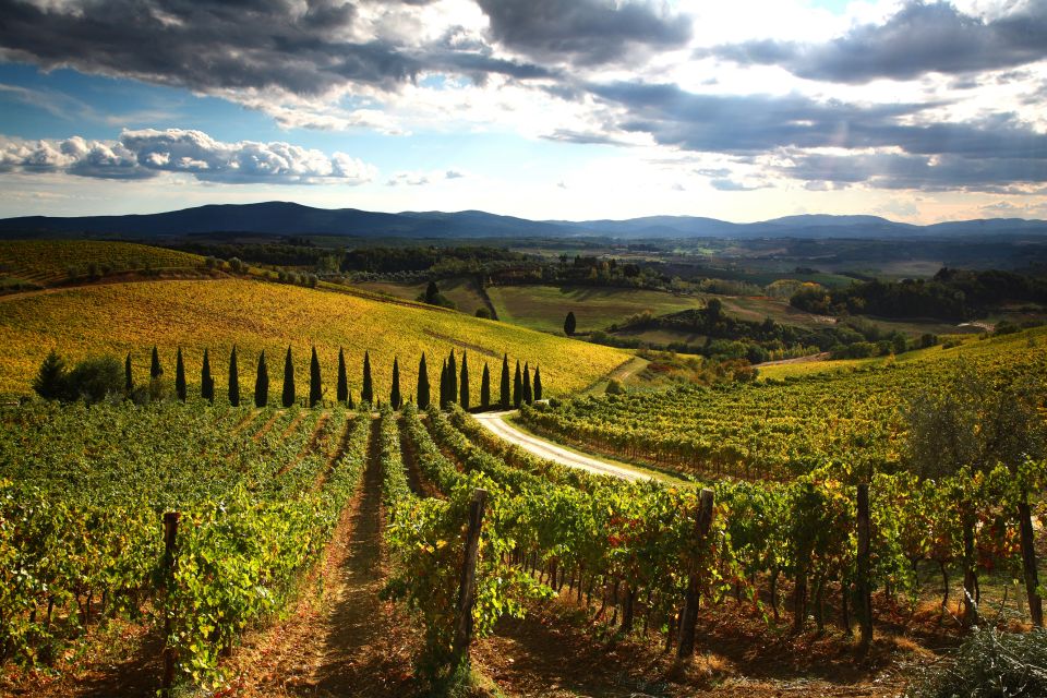 From Siena: Chianti and San Gimignano Sunset Tour