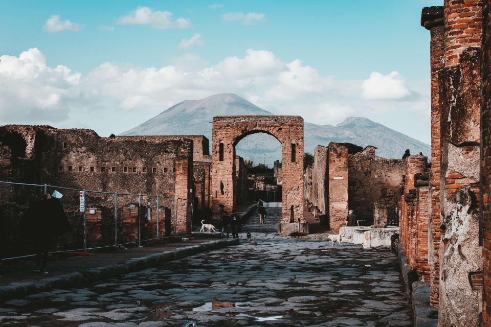 From Sorrento: Skip-the-Line Pompeii Tour and Vineyard Lunch