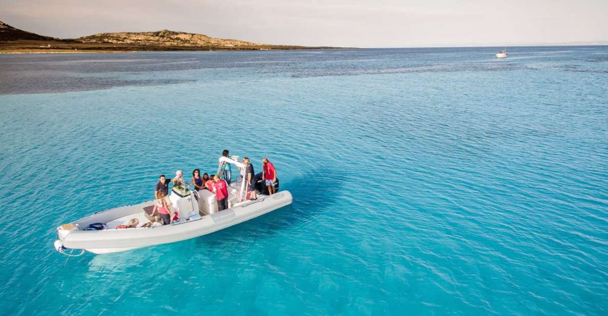 From Stintino: Half-Day Dinghy Tour in Asinara Gulf