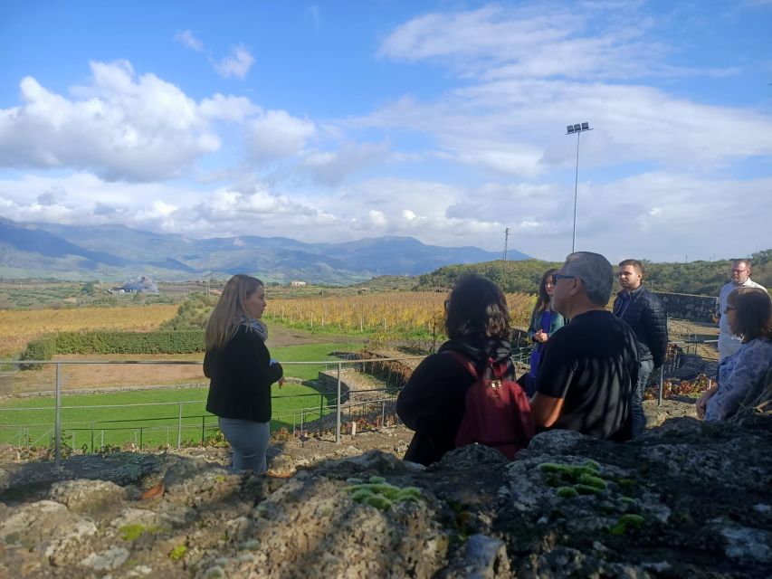 From Taormina: Etna Wineries Small Group Tour