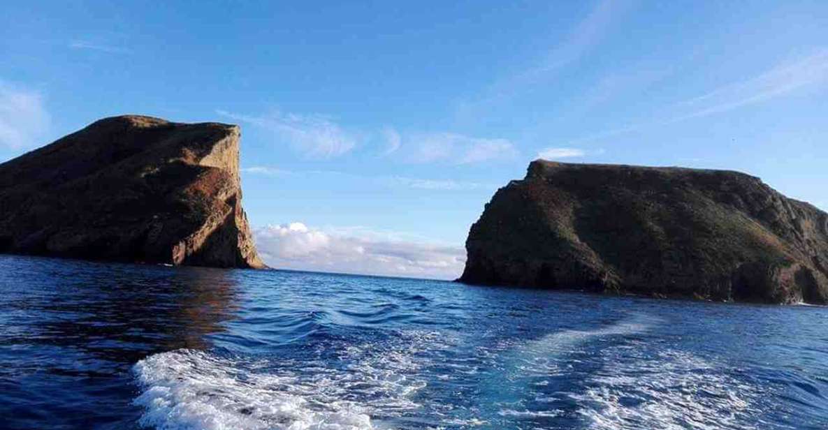 From Terceira Island: Ilhéu Das Cabras Snorkeling Boat Tour