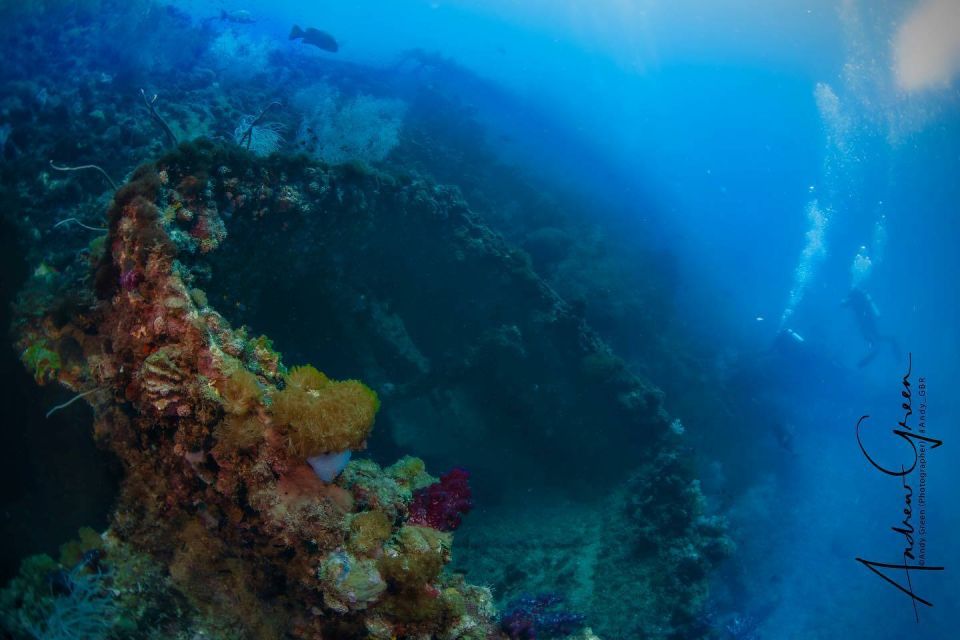 From Townsville or Magnetic Island: Yongala Wreck Dive Trip