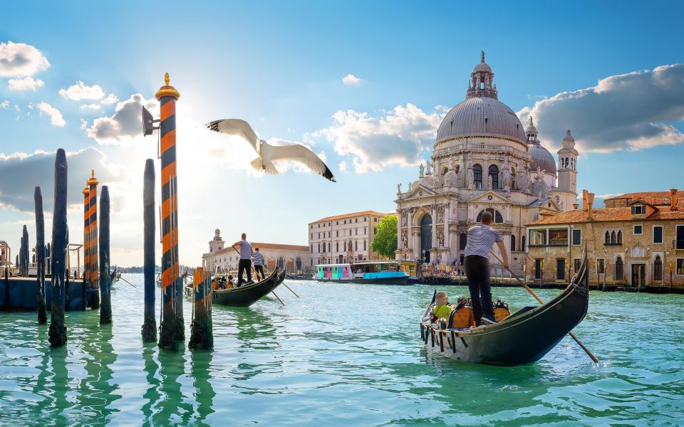 From Trieste: Best Venice Shore Excursion