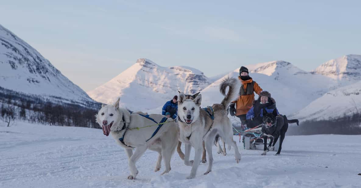 From Tromsø: Advanced Dog Sledding Tour at Camp Tamok