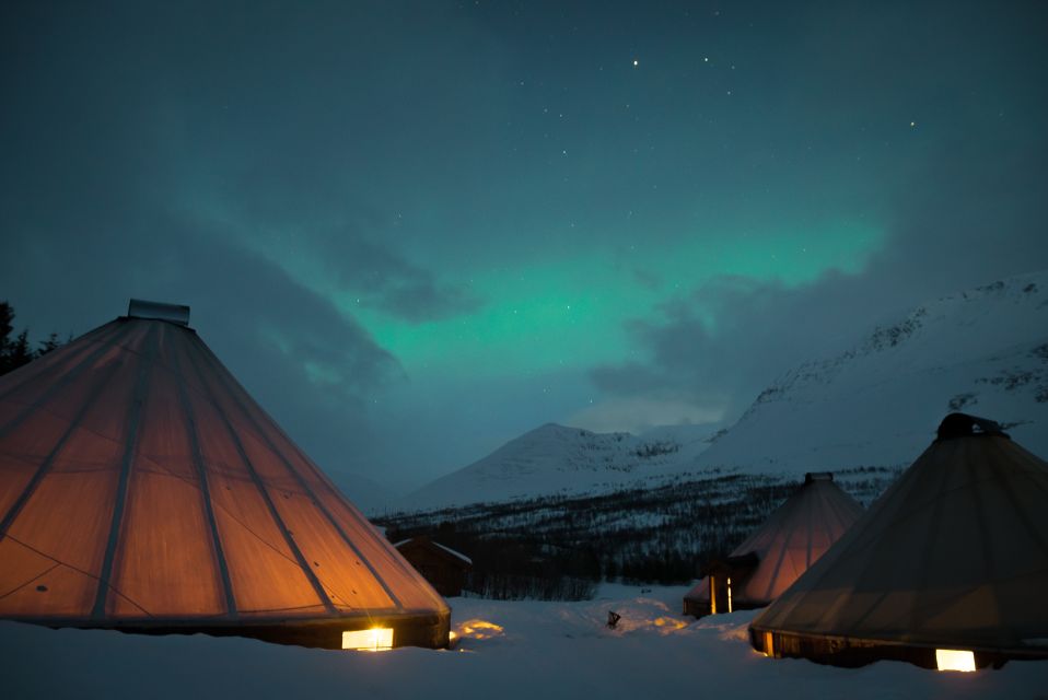 From Tromsø: Evening Reindeer Sledding at Camp Tamok