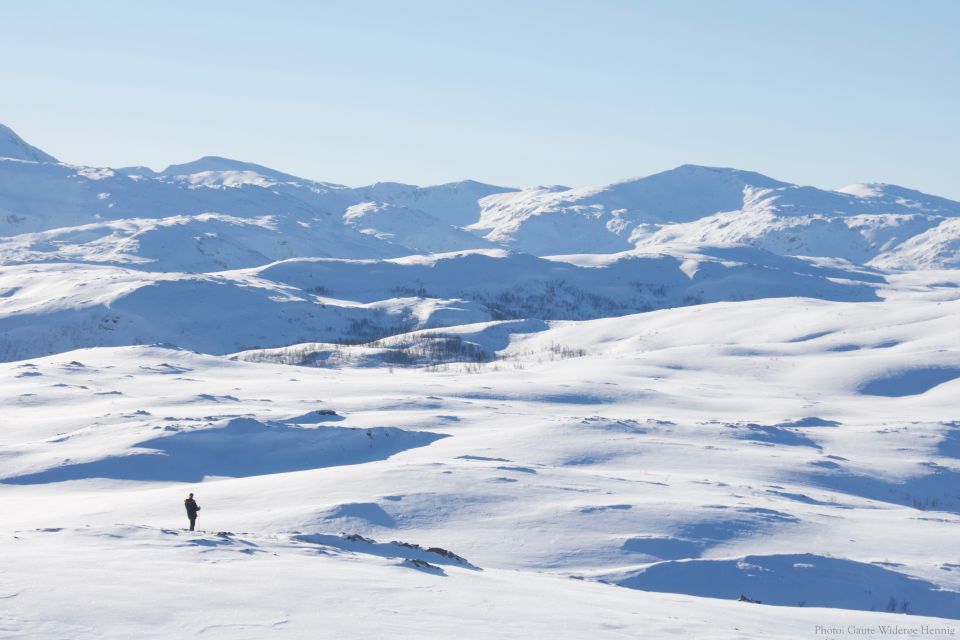 From Tromsø: Guided Snowshoe Hike With Cafe Visit - Activity Overview and Pricing