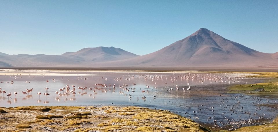 From Uyuni: Private Day Trip Laguna Colorada.