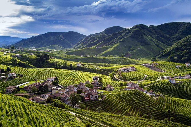 From Venice : Wine and Food Tour in the Prosecco Hills - Tour Overview