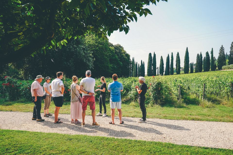 From Verona: Valpolicella and Amarone Wine Tasting Tour