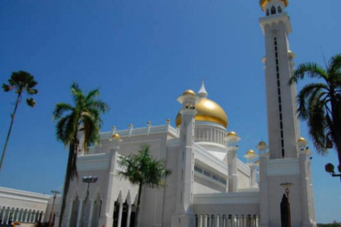 Full Brunei Experience - City Excursion - Water Village and Mangrove Safari - Itinerary Details