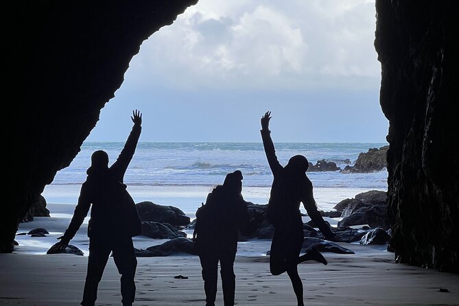 Full Day Exploring the Wild Piha Beach In Auckland - Overview of Piha Beach Tour