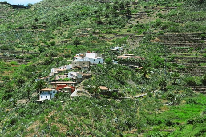 Full-day Guided Bus Tour to Mt. Teide and the Towns of Icod, Garachico, Masca