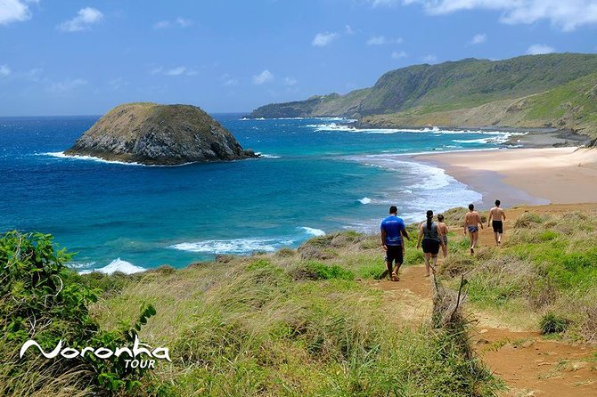 Full Day Guided Tour to Fernando De Noronha Island