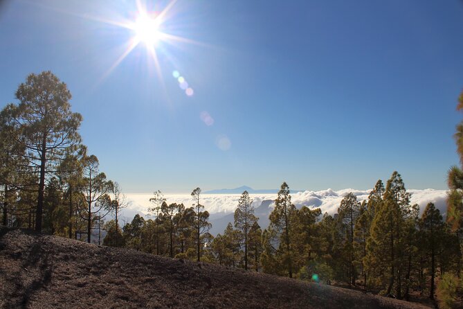 Full Day Hiking Gran Canaria Peaks of Gran Canaria