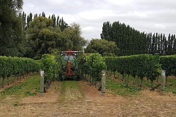 Full-Day Marlborough Wine Tour Including Wine Tasting