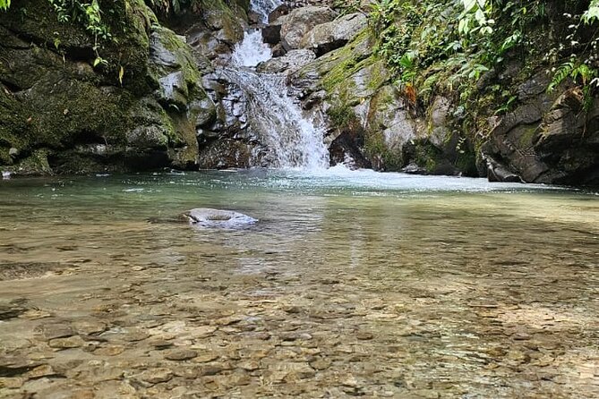 Full Day Mindo Cloud Forest From Quito (Private Tour-Customized)