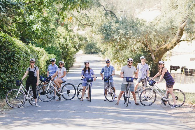 Full-Day Napa Valley E-Bike Tour