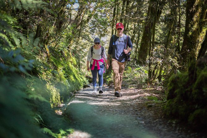 Full-Day Routeburn Track Key Summit Guided Walk From Te Anau