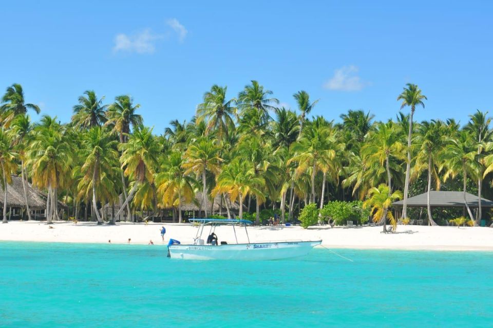 Full-Day Saona Island Tour by Speedboat