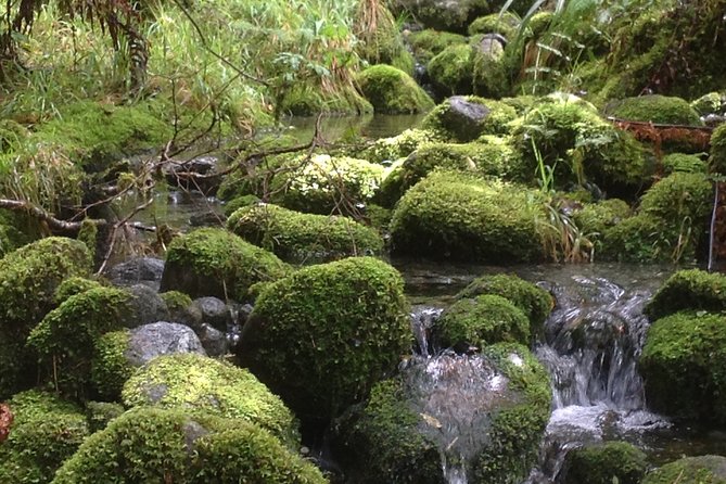 Full-Day Small-Group Routeburn Valley Walk