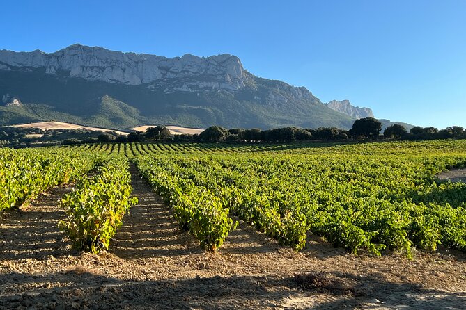 Full Day Tasting The Unknown Rioja Wine Region