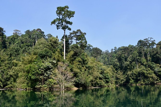 Full-Day Tour to Cheow Lan Lake in Khao Sok National Park From Krabi - Tour Overview and Highlights