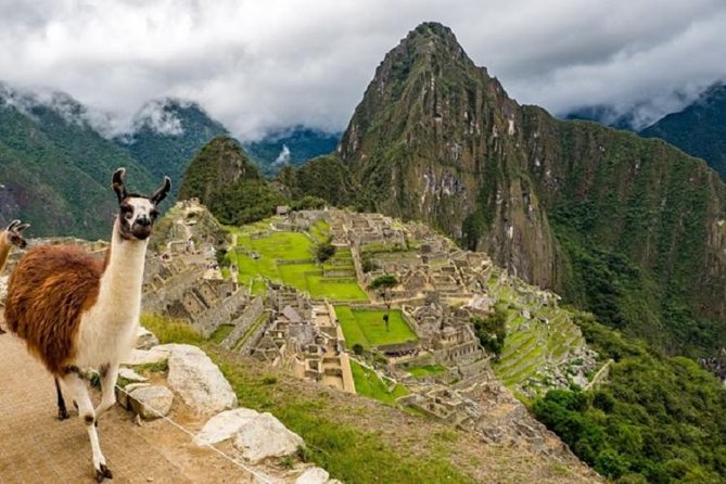 Full-Day Tour to Machu Picchu on Panoramic Train