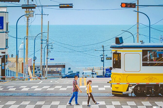 Full-Day Tour Unmissable Things to Do in Busan