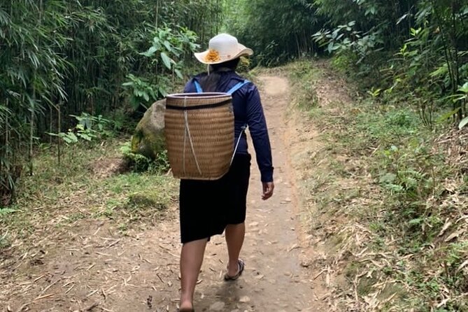 Full Day Trekking in Sapa