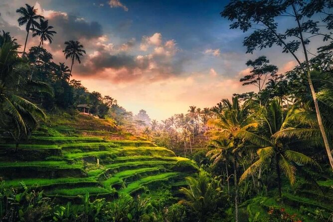 Full-Day Ubud Private Tour