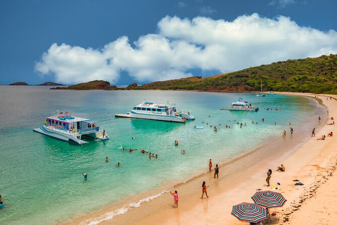 Full Day Vieques Beach Tour by Catamaran From Fajardo