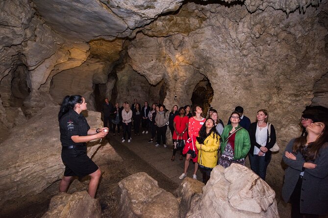 Full Day Waitomo Glow Worm Cave and Kiwi House Tour