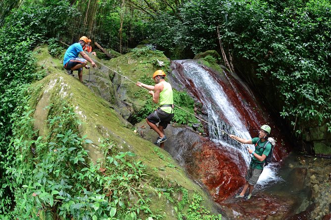 Full-Day Zipline and Waterfall Rappelling Adventure Near San Juan