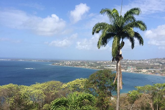 Full Island Tour (Including Lunch & Snorkeling)