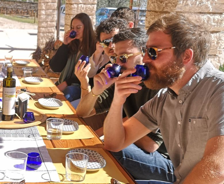 Fumane: Olive Oil Tasting on the Hills of Valpolicella