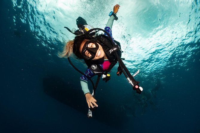 Fun Diving Packages (Certified Divers)