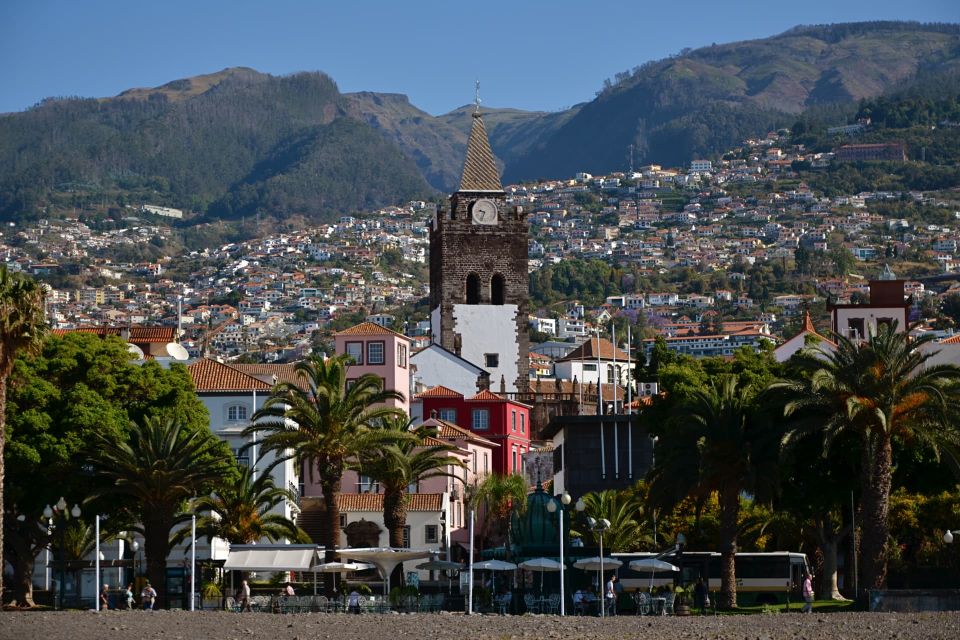 Funchal: 1 Hour Tuk Tuk Private City Tour on Tukway