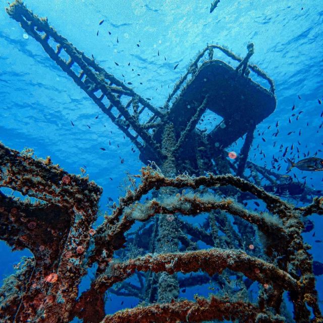 Funchal: Advanced Scuba Diving Afonso Cerqueira Wreck