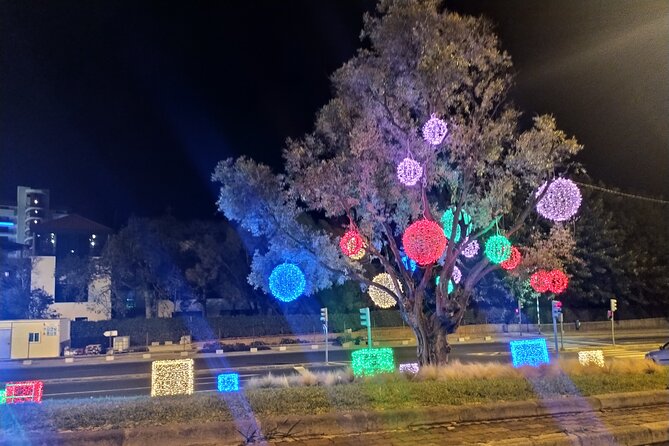 Funchal Christmas Lights Sightseeing Night Tour