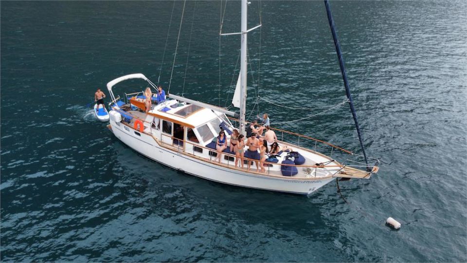 Funchal: Dolphin and Whale Watching Sailing Trip