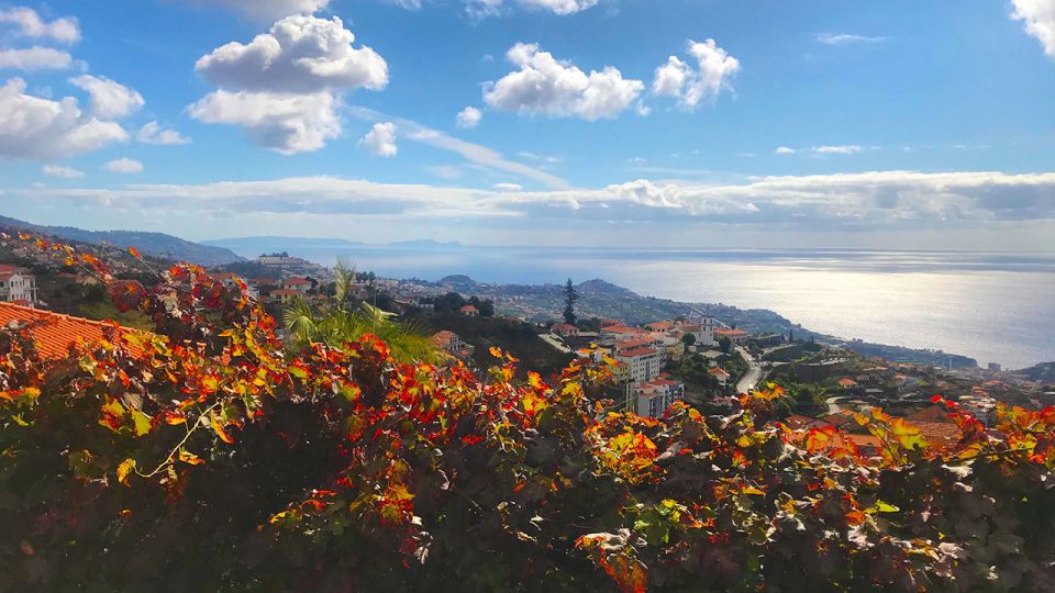 Funchal: Northern Levada Walking Tour