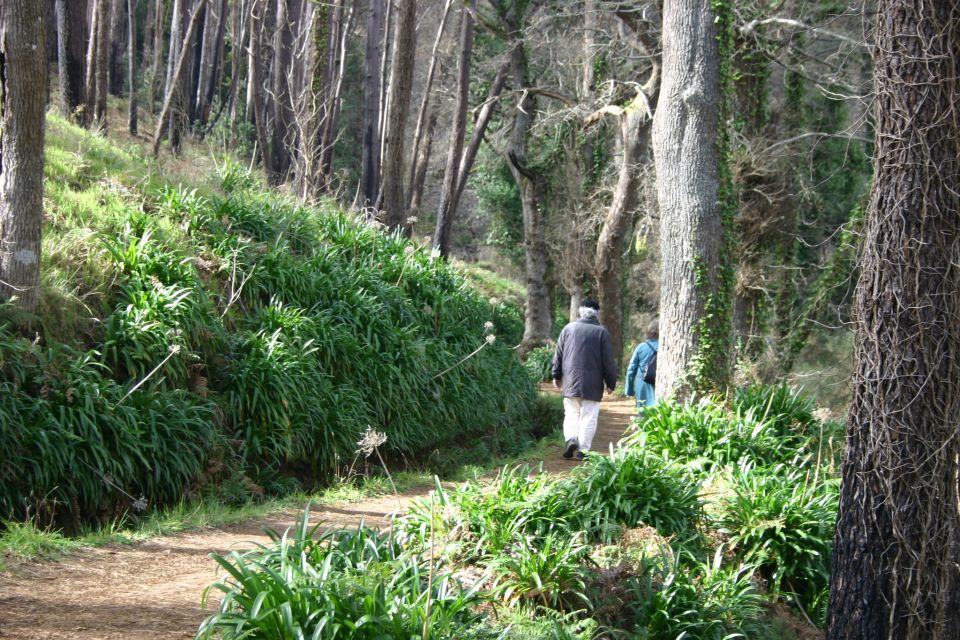 Funchal: Sea and Mountain Views Hidden Forest Hike