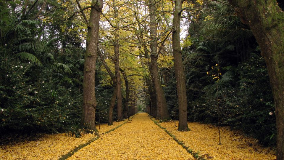 Furnas & Terra Nostra Botanic Park Guided Tour W/ Hotsprings