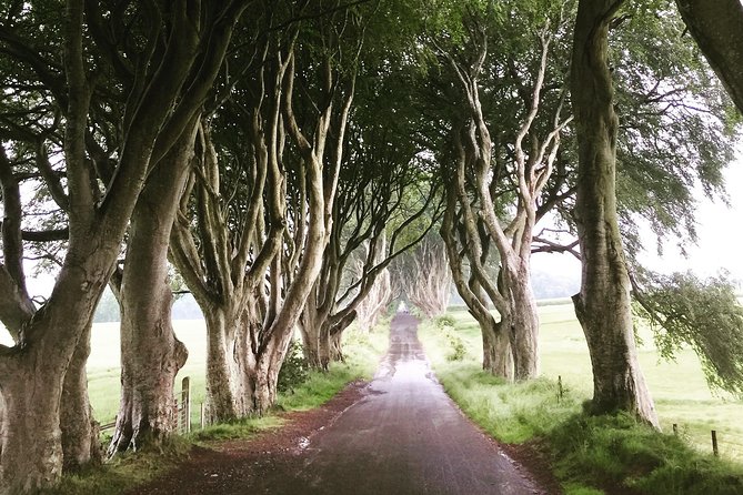 Game of Thrones Private Filming Locations Tour