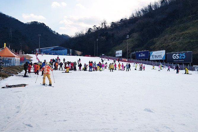 Gangchon Elysian Ski Day Trip From Seoul | Travel Buddies