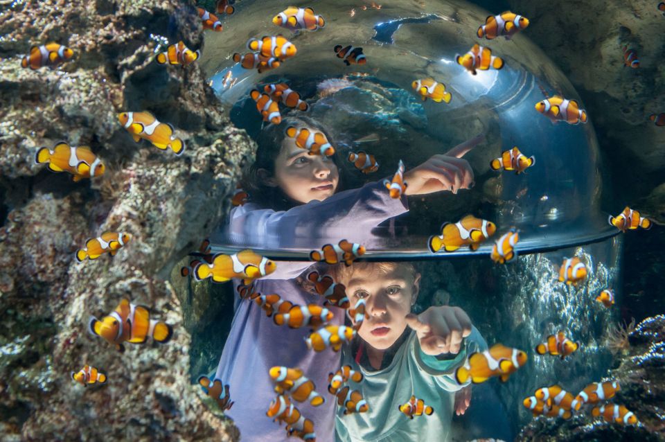 Gardaland SEA LIFE Aquarium: Open Date Entry Ticket