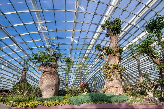 Gardens By The Bay -Flower Dome & Cloud Forest