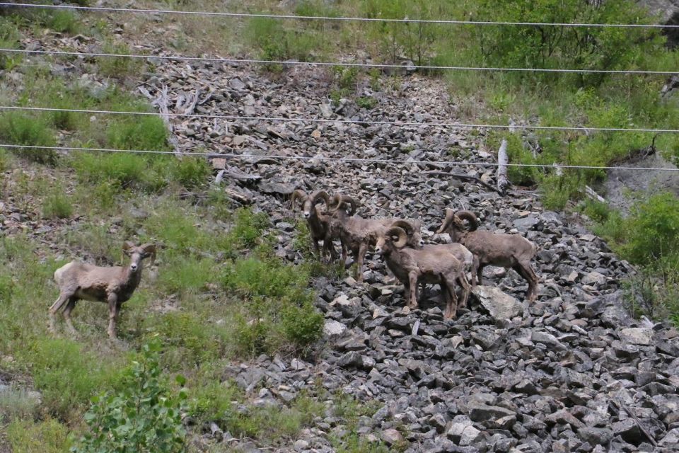 Gardiner: Scenic Raft Float on the Yellowstone River - Taking in the Wilderness